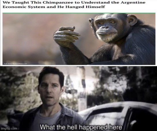 image tagged in what the hell happened here | made w/ Imgflip meme maker