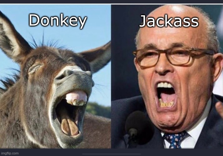 Comparison | Jackass; Donkey | image tagged in rudy giuliani,jackass,gop,trump | made w/ Imgflip meme maker