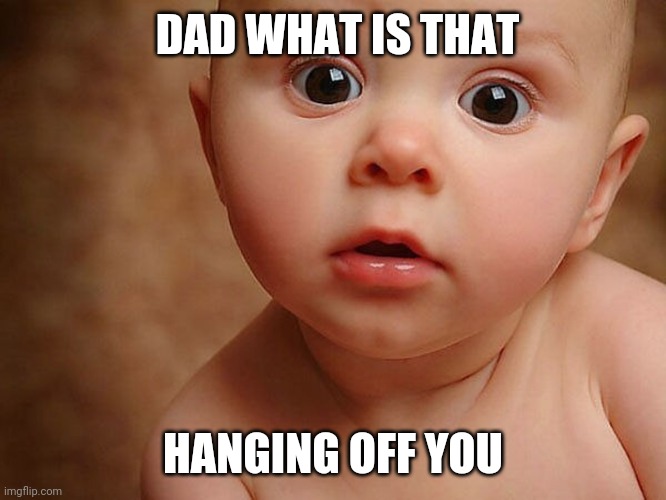 DAD WHAT IS THAT; HANGING OFF YOU | image tagged in what is that | made w/ Imgflip meme maker
