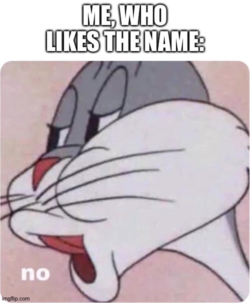 Bugs Bunny No | ME, WHO LIKES THE NAME: | image tagged in bugs bunny no | made w/ Imgflip meme maker