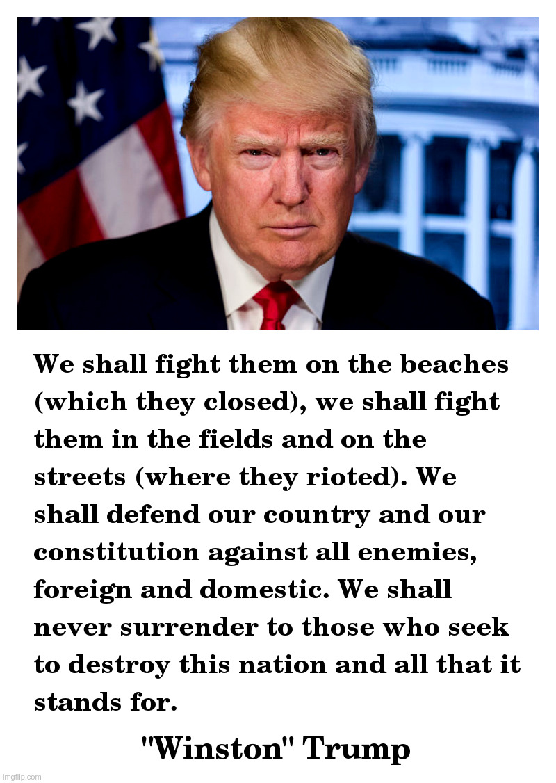 We Shall Never Surrender | image tagged in donald trump,winston churchill,trump,resistance,2020 | made w/ Imgflip meme maker