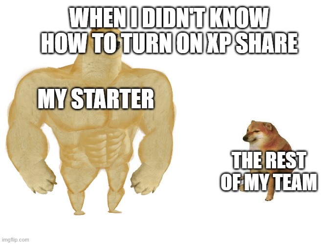 carrys | WHEN I DIDN'T KNOW HOW TO TURN ON XP SHARE; MY STARTER; THE REST OF MY TEAM | image tagged in big dog small dog | made w/ Imgflip meme maker
