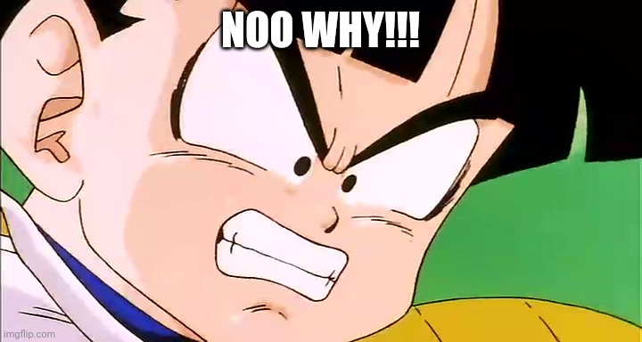 Frustrated Gohan (DBZ) | NOO WHY!!! | image tagged in frustrated gohan dbz | made w/ Imgflip meme maker