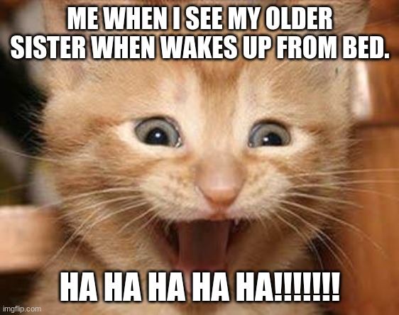 my older sister is ugly! | ME WHEN I SEE MY OLDER SISTER WHEN WAKES UP FROM BED. HA HA HA HA HA!!!!!!! | image tagged in memes,excited cat | made w/ Imgflip meme maker