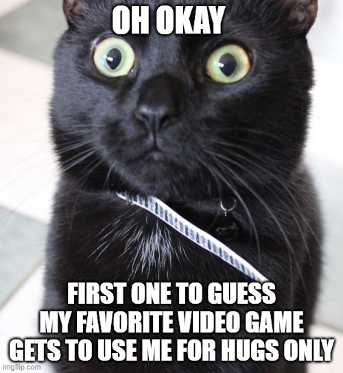 Woah Kitty Meme | OH OKAY; FIRST ONE TO GUESS MY FAVORITE VIDEO GAME GETS TO USE ME FOR HUGS ONLY | image tagged in memes,woah kitty | made w/ Imgflip meme maker