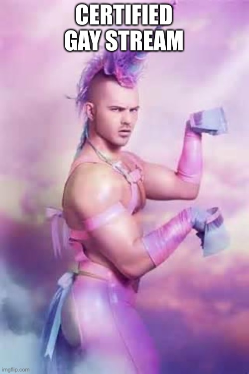 Gay Unicorn | CERTIFIED GAY STREAM | image tagged in gay unicorn | made w/ Imgflip meme maker
