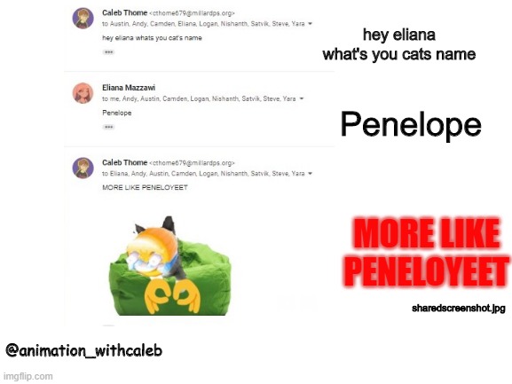 PENELOYEET | hey eliana what's you cats name; Penelope; MORE LIKE PENELOYEET; sharedscreenshot.jpg; @animation_withcaleb | image tagged in memes,yeet,cats | made w/ Imgflip meme maker