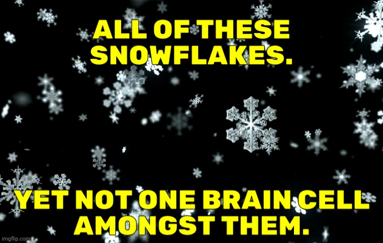 SNOWFLAKES | image tagged in morons,uneducated,illiterate,clueless,fantasyworld | made w/ Imgflip meme maker