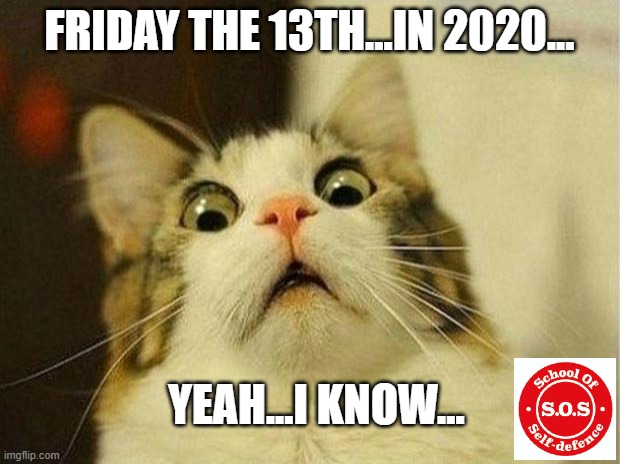 Friday 13th | FRIDAY THE 13TH...IN 2020... YEAH...I KNOW... | image tagged in memes | made w/ Imgflip meme maker