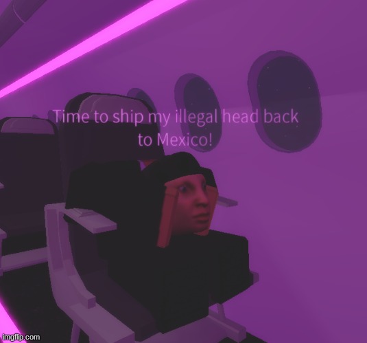 Illegal Head | image tagged in roblox,mexico,mexican,drugs,drug cartel,border wall | made w/ Imgflip meme maker