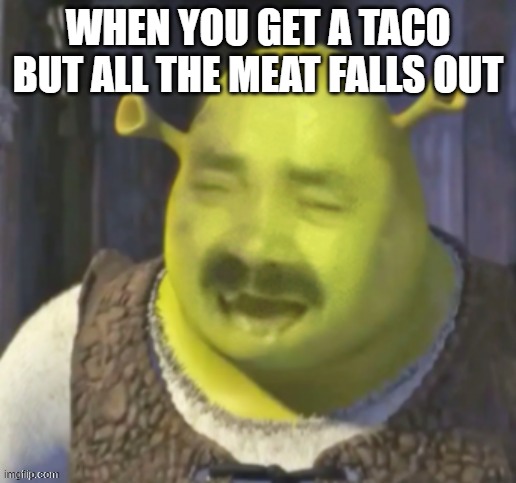 WHEN YOU GET A TACO BUT ALL THE MEAT FALLS OUT | image tagged in funny | made w/ Imgflip meme maker