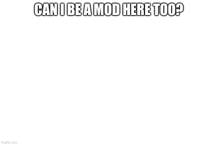 Plz | CAN I BE A MOD HERE TOO? | image tagged in yeee | made w/ Imgflip meme maker