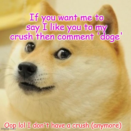 Doge Meme | If you want me to say I like you to my crush then comment 'doge'; Oop lol I don't have a crush (anymore) | image tagged in memes,doge | made w/ Imgflip meme maker