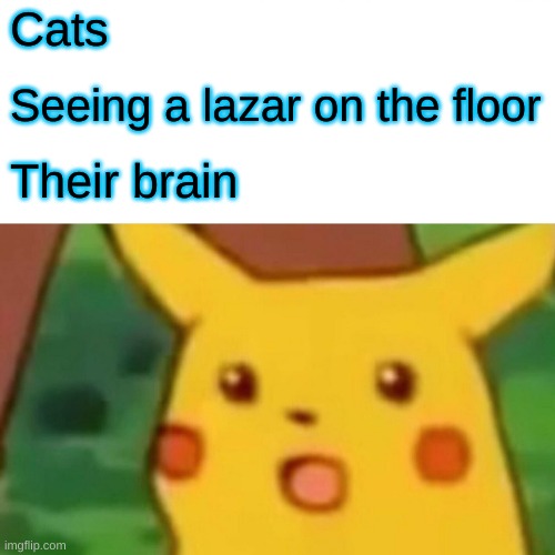 Surprised Pikachu | Cats; Seeing a lazar on the floor; Their brain | image tagged in memes,surprised pikachu,cats | made w/ Imgflip meme maker
