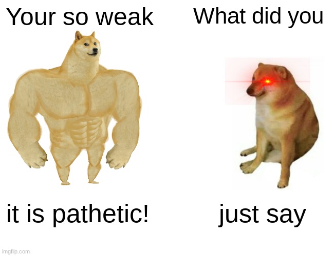 Buff Doge vs. Cheems Meme | Your so weak; What did you; it is pathetic! just say | image tagged in memes,buff doge vs cheems | made w/ Imgflip meme maker