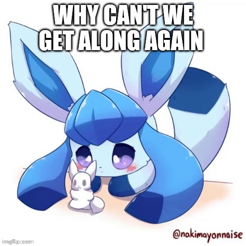 Glaceon and smoll snow man | WHY CAN'T WE GET ALONG AGAIN | image tagged in glaceon and smoll snow man | made w/ Imgflip meme maker