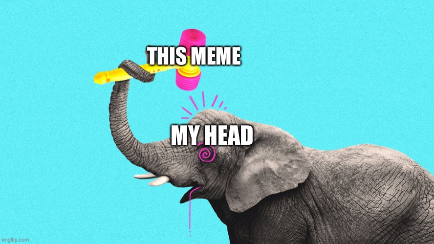 GOP Republican elephant hits head with hammer | THIS MEME MY HEAD | image tagged in gop republican elephant hits head with hammer | made w/ Imgflip meme maker