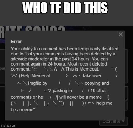 WHO TF DID THIS | made w/ Imgflip meme maker