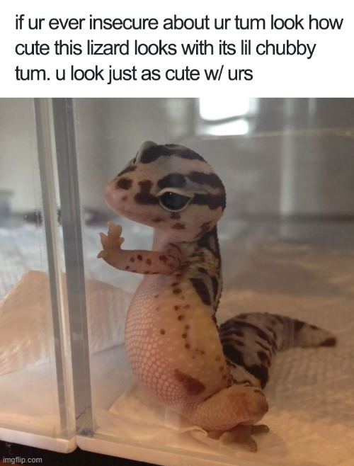 . | made w/ Imgflip meme maker