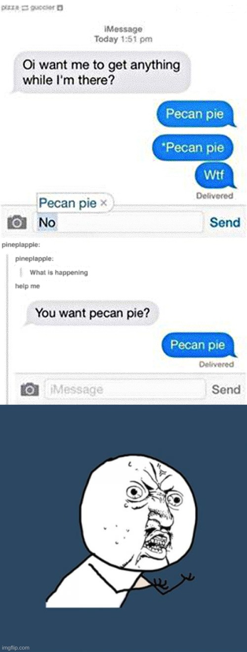 Pecan Pie | image tagged in memes,y u no | made w/ Imgflip meme maker