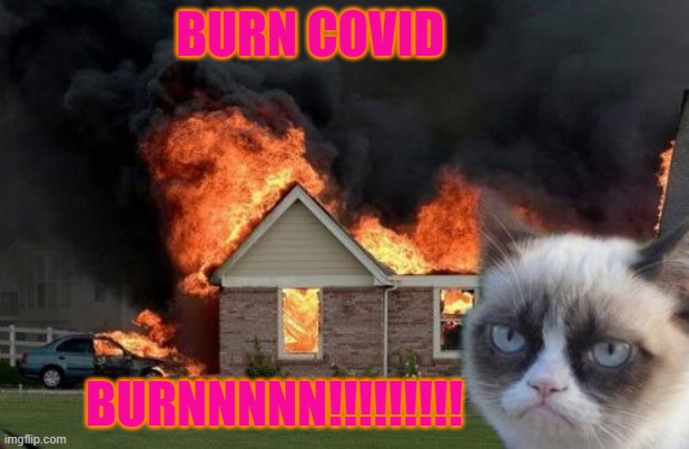 BURN COVID | BURN COVID; BURNNNNN!!!!!!!!! | image tagged in memes,burn kitty,grumpy cat | made w/ Imgflip meme maker