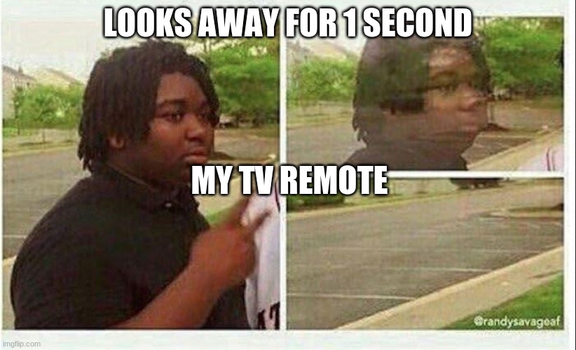 Is this only me? | LOOKS AWAY FOR 1 SECOND; MY TV REMOTE | image tagged in black guy disappearing | made w/ Imgflip meme maker