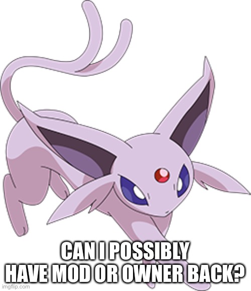 CAN I POSSIBLY HAVE MOD OR OWNER BACK? | made w/ Imgflip meme maker