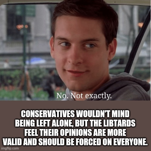 Peter Parker no not exactly | CONSERVATIVES WOULDN'T MIND BEING LEFT ALONE, BUT THE LIBTARDS FEEL THEIR OPINIONS ARE MORE VALID AND SHOULD BE FORCED ON EVERYONE. | image tagged in peter parker no not exactly | made w/ Imgflip meme maker