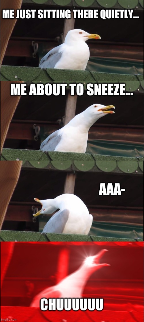 achoo ;-; | ME JUST SITTING THERE QUIETLY... ME ABOUT TO SNEEZE... AAA-; CHUUUUUU | image tagged in memes,inhaling seagull | made w/ Imgflip meme maker
