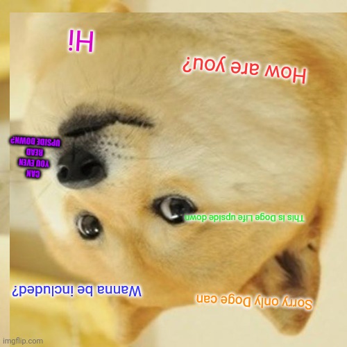 Upside down Doge | Hi; How are you? CAN YOU EVEN READ UPSIDE DOWN? This is Doge Life upside down; Wanna be included? Sorry only Doge can | image tagged in doge | made w/ Imgflip meme maker