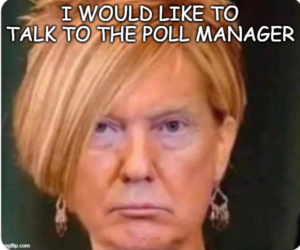 Uhhm.. excuse me. | I WOULD LIKE TO TALK TO THE POLL MANAGER | image tagged in karen | made w/ Imgflip meme maker