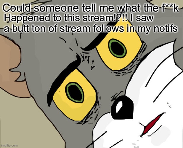 Please fill me in. I’m really confused | Could someone tell me what the f**k; Happened to this stream!?!! I saw a butt ton of stream follows in my notifs | image tagged in memes,unsettled tom | made w/ Imgflip meme maker