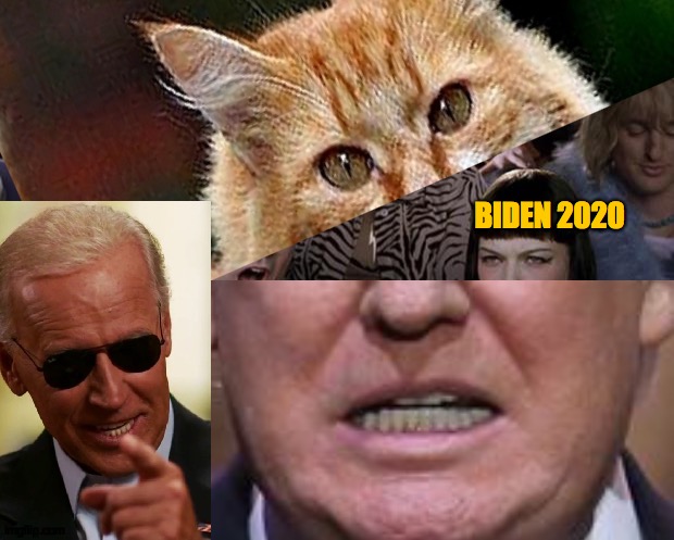 How who | BIDEN 2020 | image tagged in biden,trump,2020,left,right,won | made w/ Imgflip meme maker