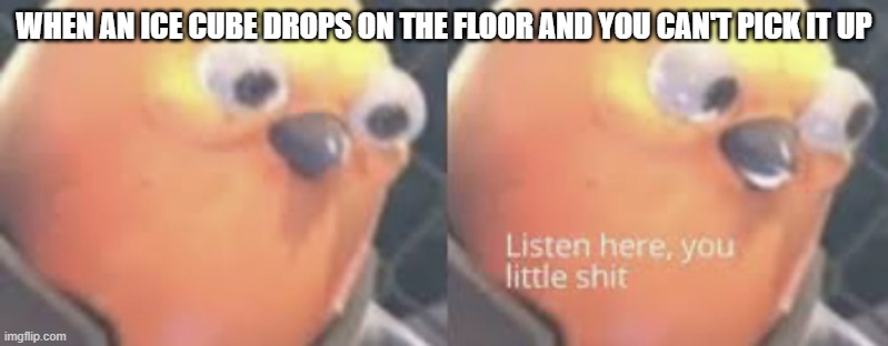Listen here you little shit bird | WHEN AN ICE CUBE DROPS ON THE FLOOR AND YOU CAN'T PICK IT UP | image tagged in listen here you little shit bird | made w/ Imgflip meme maker