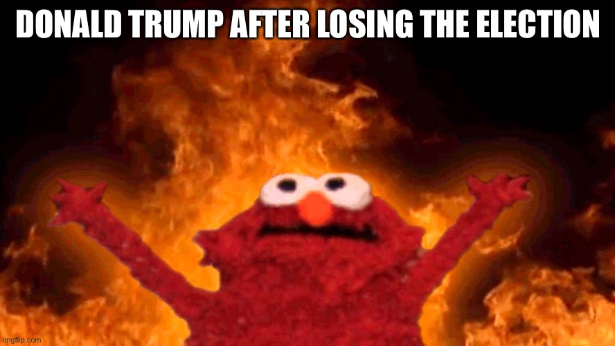 elmo fire | DONALD TRUMP AFTER LOSING THE ELECTION | image tagged in elmo fire | made w/ Imgflip meme maker