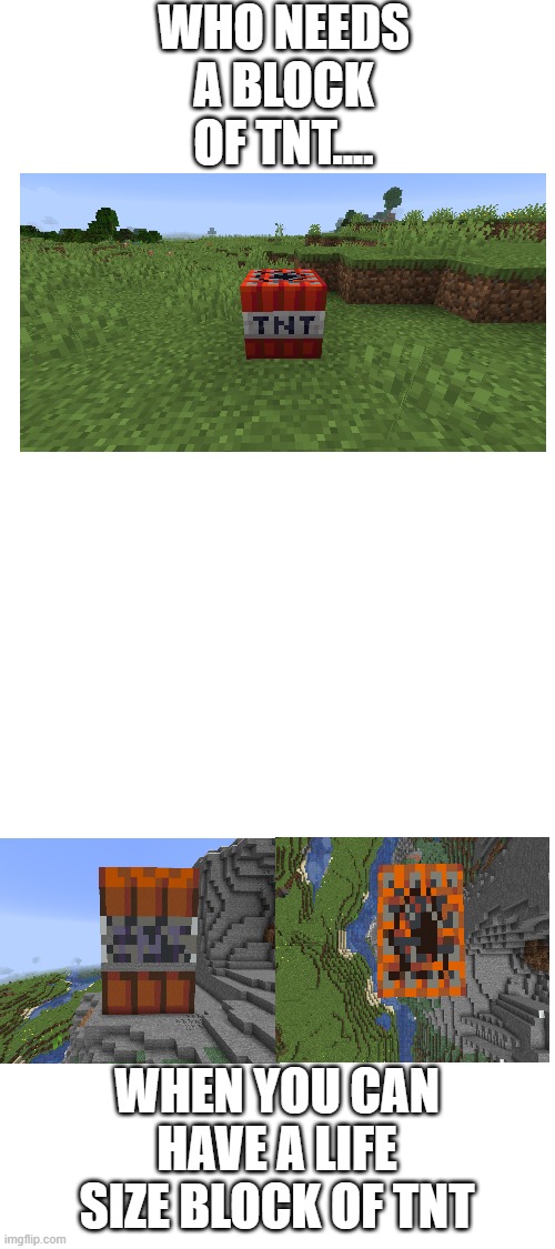 Just A Block Of TNT, Nothing To See Here.... | WHO NEEDS A BLOCK OF TNT.... WHEN YOU CAN HAVE A LIFE SIZE BLOCK OF TNT | image tagged in blank white template | made w/ Imgflip meme maker