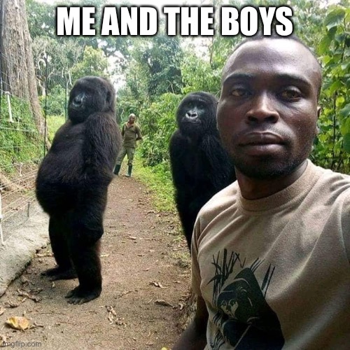 Me and the boys (chain in comments) | ME AND THE BOYS | image tagged in funny,memes,meme,monkey | made w/ Imgflip meme maker