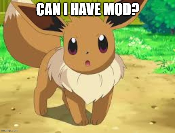 Eevee | CAN I HAVE MOD? | image tagged in eevee | made w/ Imgflip meme maker