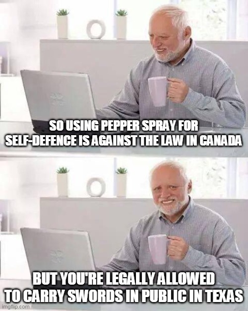 Honey, pack your bags we're moving | SO USING PEPPER SPRAY FOR
SELF-DEFENCE IS AGAINST THE LAW IN CANADA; BUT YOU'RE LEGALLY ALLOWED TO CARRY SWORDS IN PUBLIC IN TEXAS | image tagged in memes,hide the pain harold | made w/ Imgflip meme maker