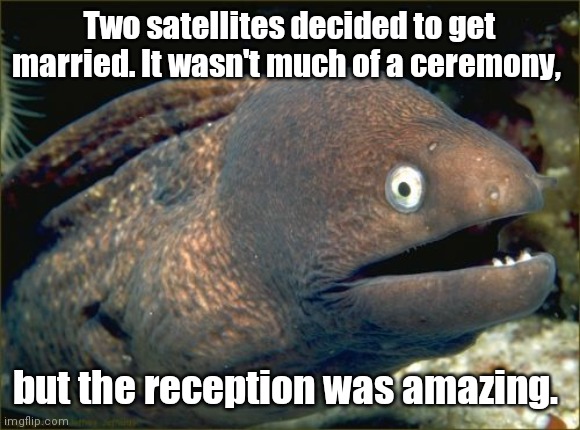 Typical Dad joke. |  Two satellites decided to get married. It wasn't much of a ceremony, but the reception was amazing. | image tagged in memes,bad joke eel,igottamillionofem,mildlyfunny | made w/ Imgflip meme maker
