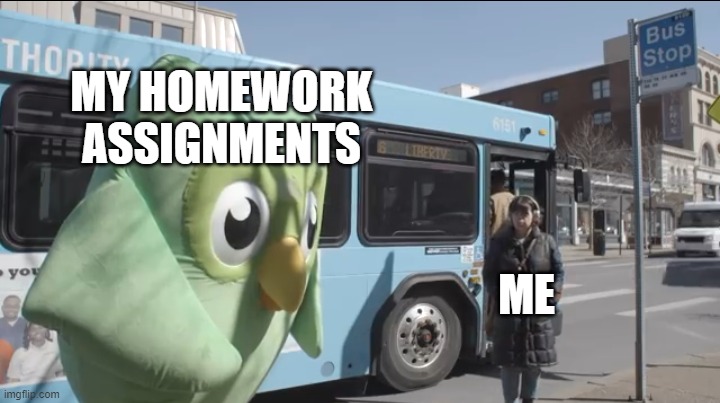 It will always find you! | MY HOMEWORK ASSIGNMENTS; ME | image tagged in duolingo plush,memes,homework,school | made w/ Imgflip meme maker