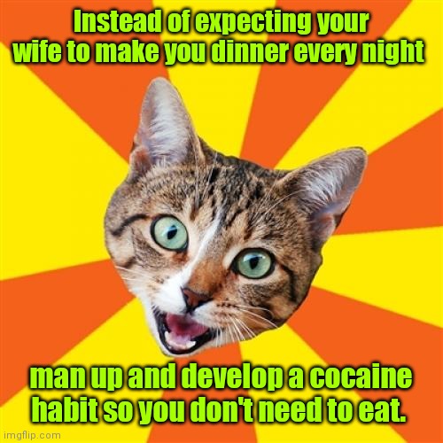 I don't need no stinkin' food. |  Instead of expecting your wife to make you dinner every night; man up and develop a cocaine habit so you don't need to eat. | image tagged in memes,bad advice cat,starvation,almostfunny | made w/ Imgflip meme maker