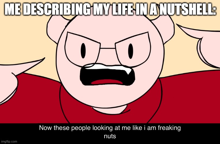 Somethingelseyt | ME DESCRIBING MY LIFE IN A NUTSHELL: | image tagged in somethingelseyt | made w/ Imgflip meme maker