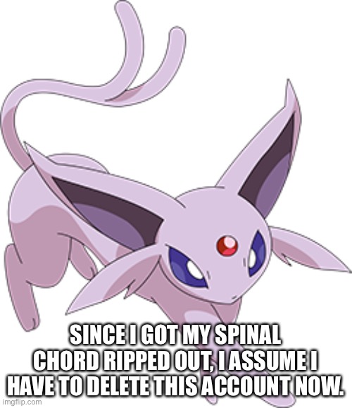 Fuck you trooper27 XD | SINCE I GOT MY SPINAL CHORD RIPPED OUT, I ASSUME I HAVE TO DELETE THIS ACCOUNT NOW. | made w/ Imgflip meme maker