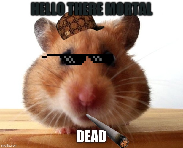 HELLO THERE MORTAL; DEAD | image tagged in hamster life | made w/ Imgflip meme maker