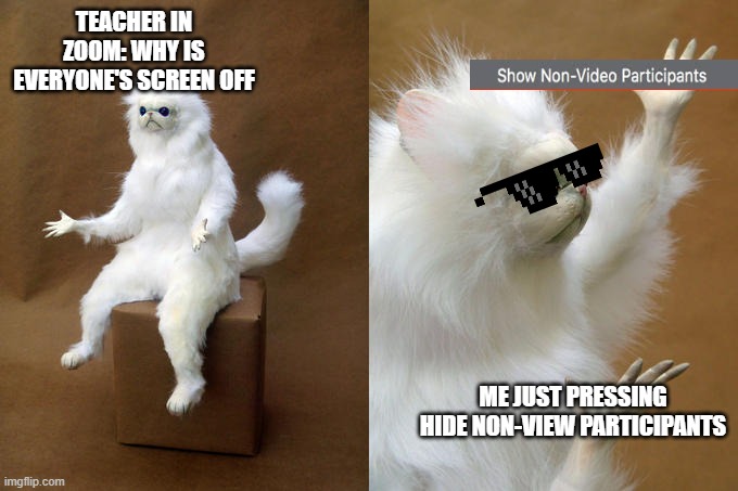 Persian Cat Room Guardian Meme | TEACHER IN ZOOM: WHY IS EVERYONE'S SCREEN OFF; ME JUST PRESSING HIDE NON-VIEW PARTICIPANTS | image tagged in memes,persian cat room guardian | made w/ Imgflip meme maker
