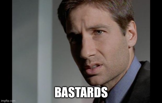 Fox Mulder Disgusted | BASTARDS | image tagged in fox mulder disgusted | made w/ Imgflip meme maker