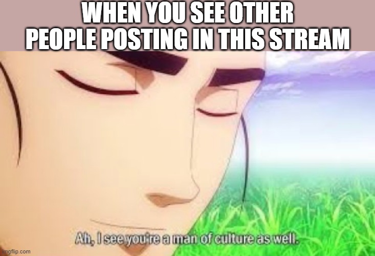 Ah i see your a man of culture as well | WHEN YOU SEE OTHER PEOPLE POSTING IN THIS STREAM | image tagged in ah i see your a man of culture as well,i'm 15 so don't try it,who reads these | made w/ Imgflip meme maker