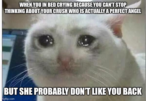Please help. I want to tell this girl how I feel but am scared and crying | WHEN YOU IN BED CRYING BECAUSE YOU CAN’T STOP THINKING ABOUT YOUR CRUSH WHO IS ACTUALLY A PERFECT ANGEL; BUT SHE PROBABLY DON’T LIKE YOU BACK | image tagged in crying cat | made w/ Imgflip meme maker