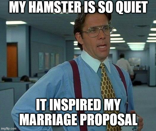 That Would Be Great Meme | MY HAMSTER IS SO QUIET; IT INSPIRED MY MARRIAGE PROPOSAL | image tagged in memes,that would be great | made w/ Imgflip meme maker